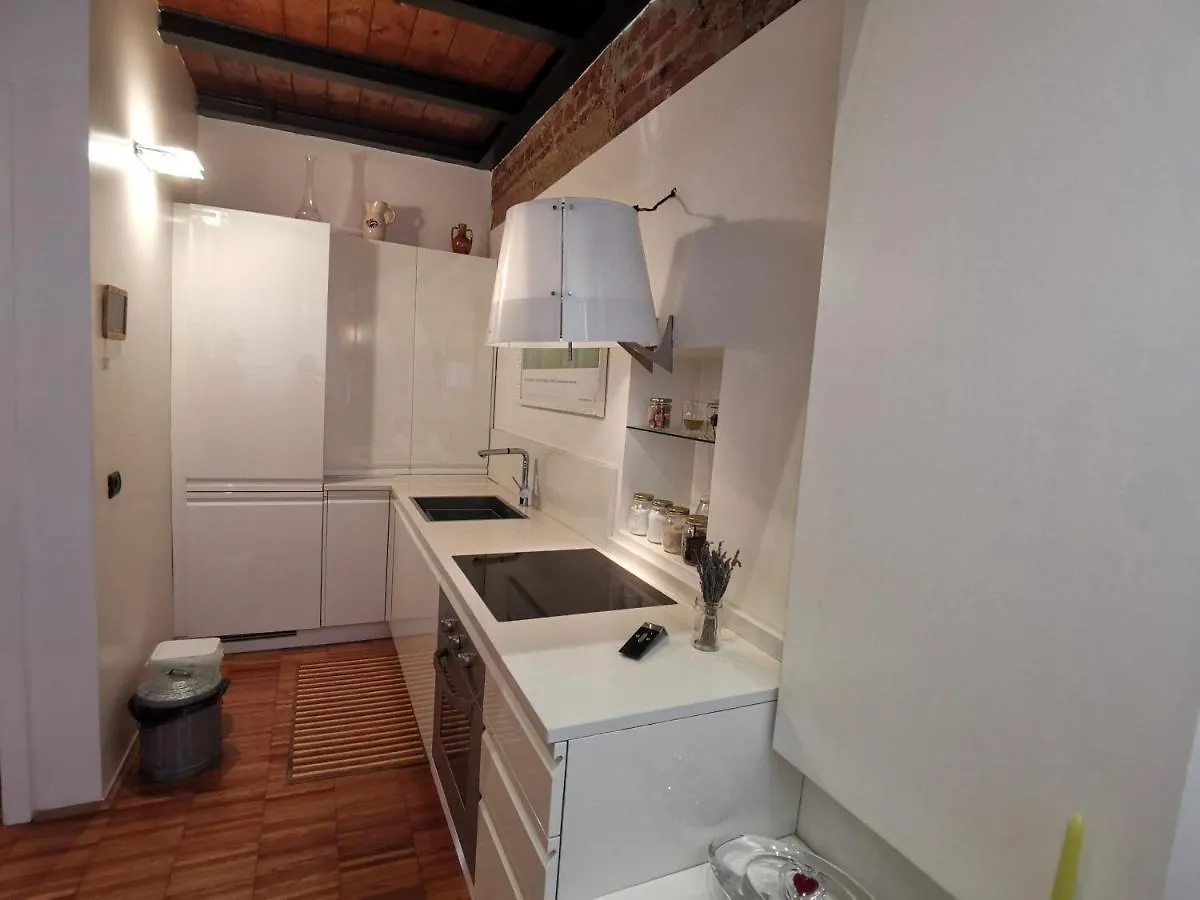 Luxury Loft 89 Apartment Milan